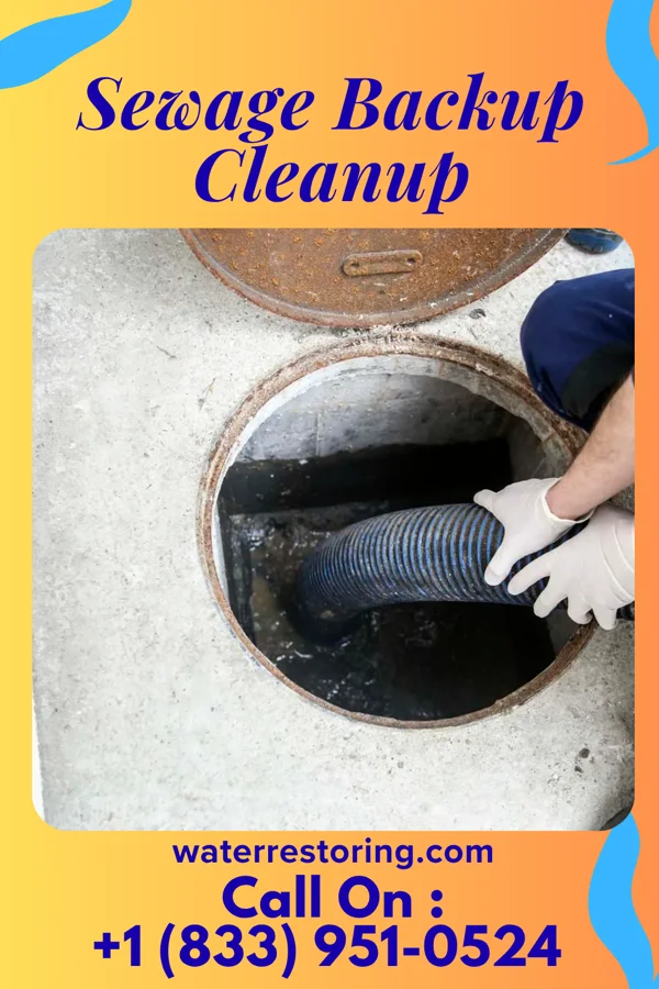 Sewage Backup Cleanup in Sandoval, IL