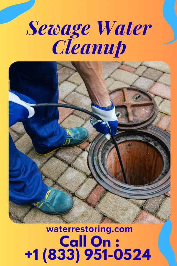 Sewage Water Cleanup in Sandoval, IL